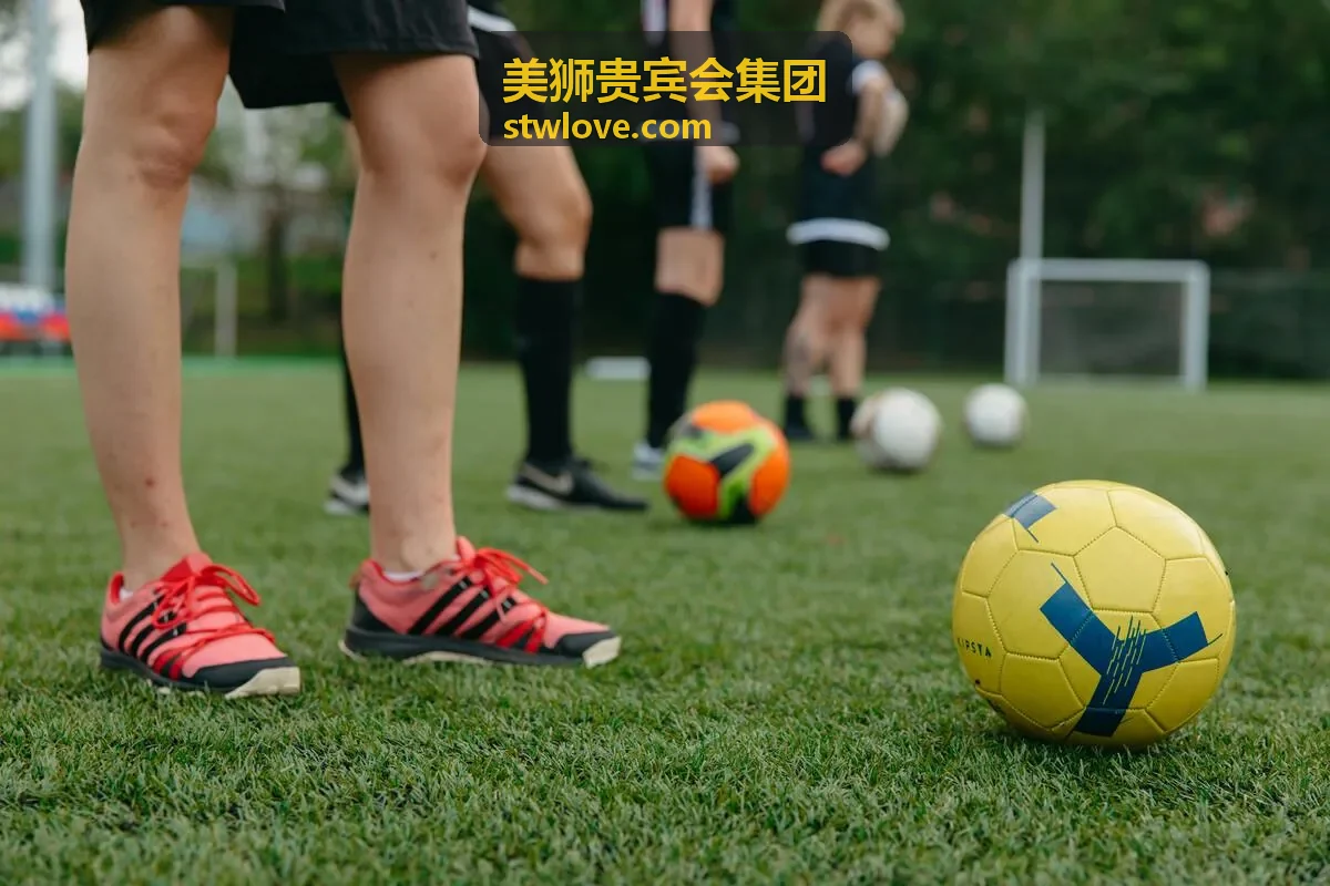 美狮贵宾会集团尊享服务仪表盘